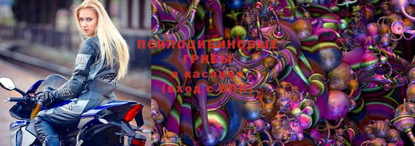 амф Белокуриха