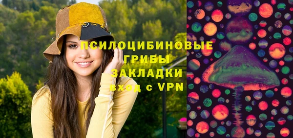 амф Белокуриха
