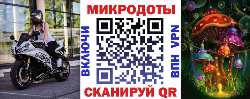 купить наркотики цена  Боровичи  Галлюциногенные грибы Psilocybe 